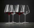 SPIEGELAU Definition Burgundy Glass Set