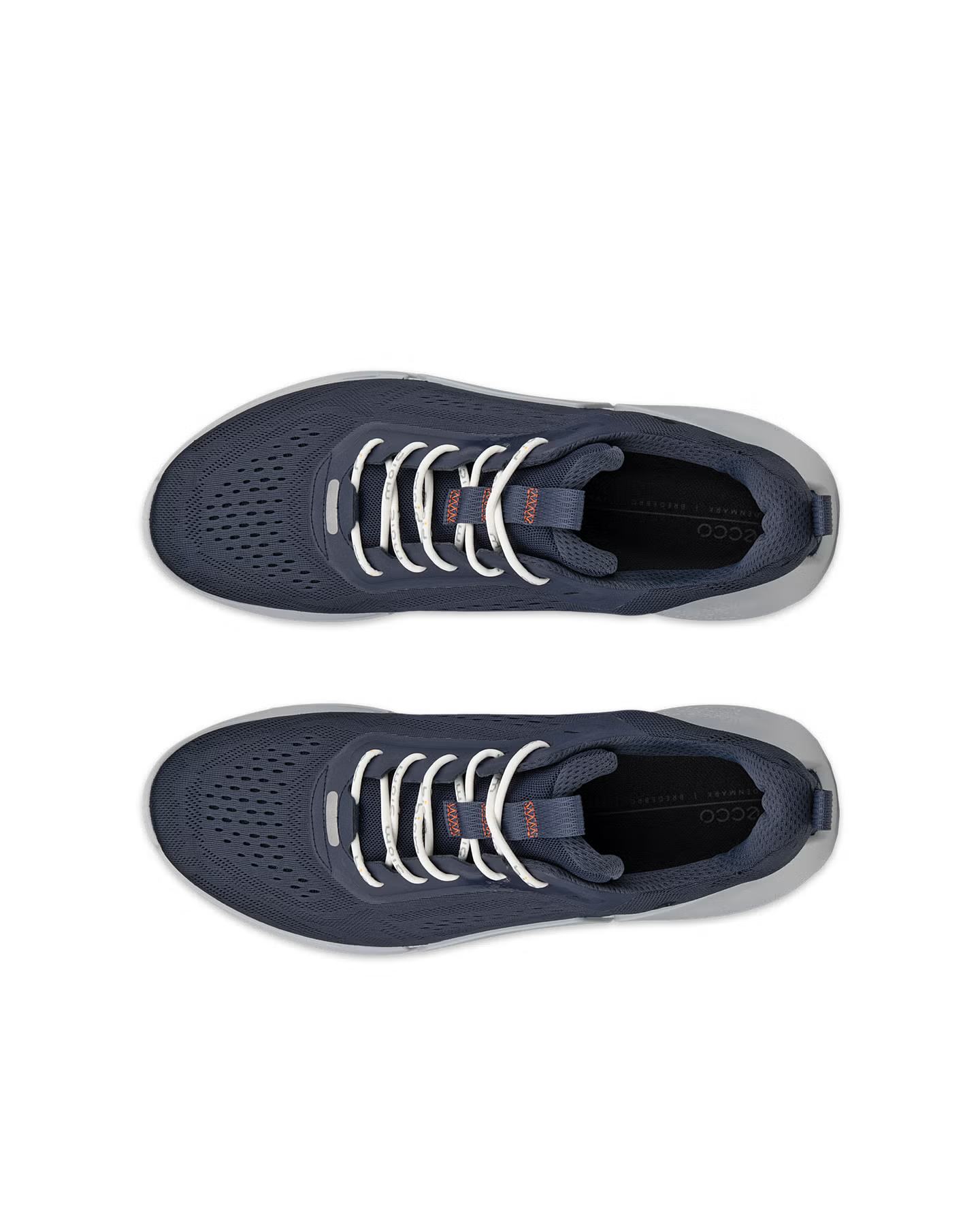 ECCO Biom 2.0 – Blue