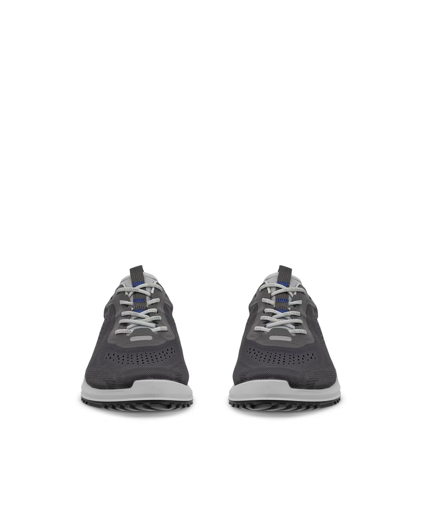 ECCO Biom 2.0 – Grey