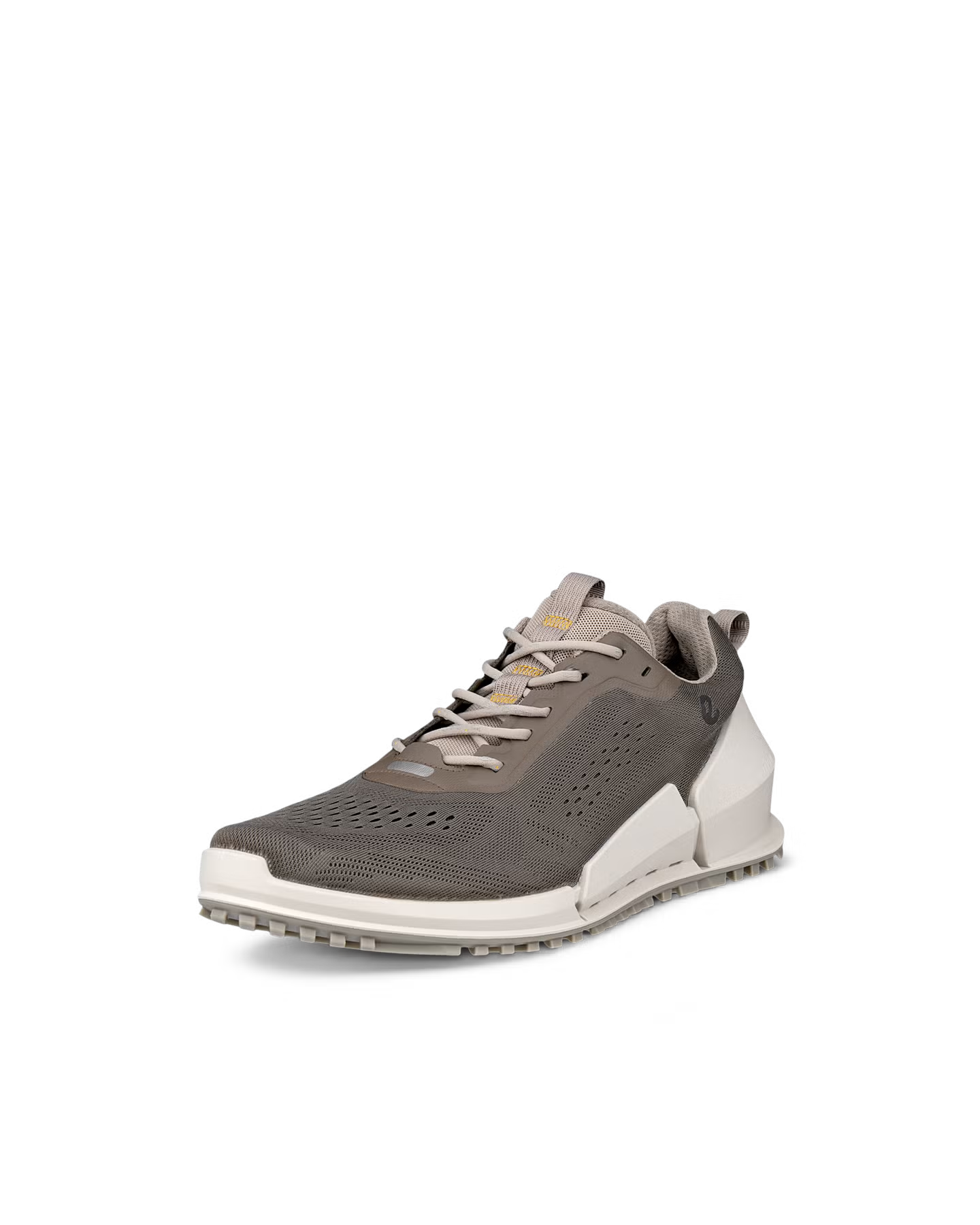 ECCO Biom 2.0 – Brown