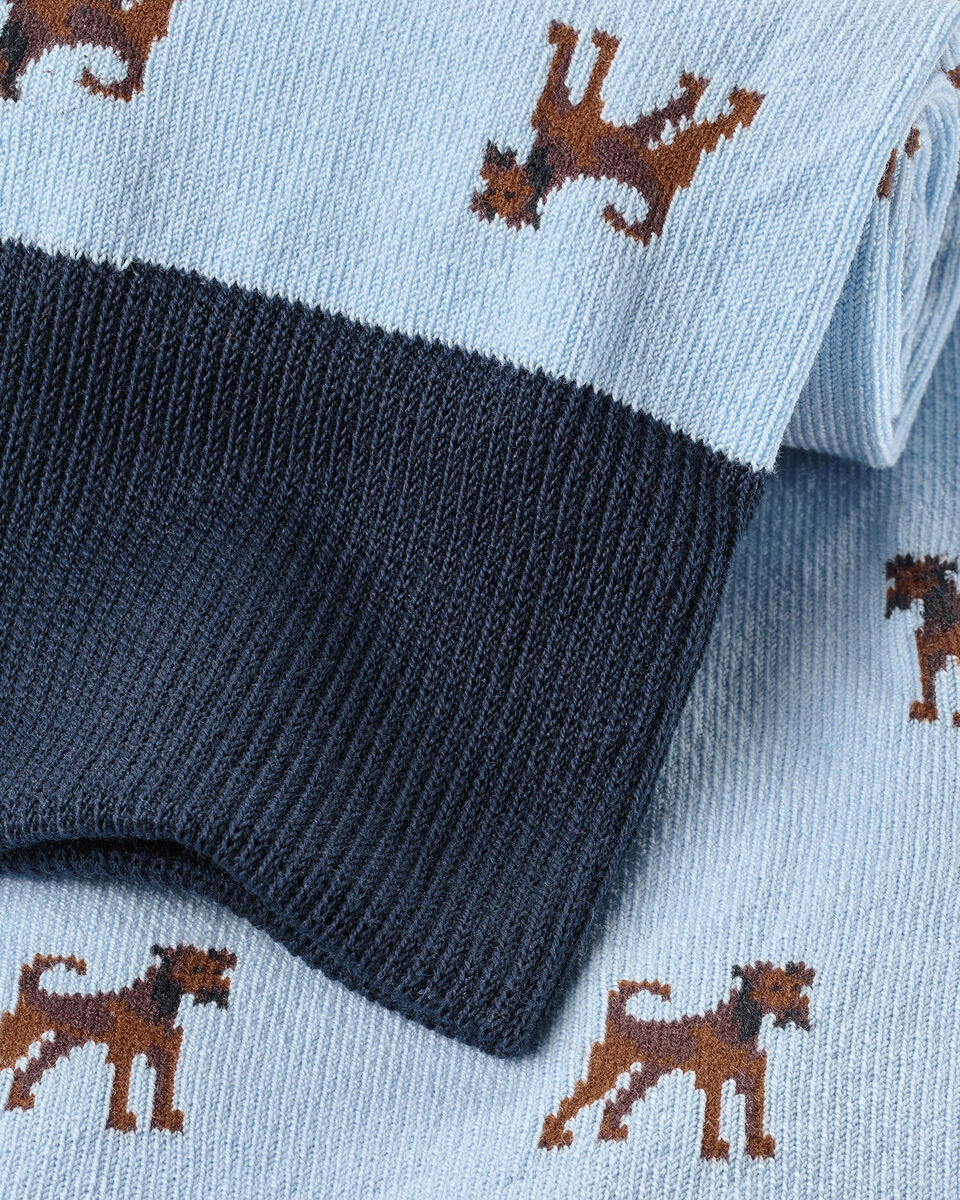 Charles Tyrwhitt Dog Novelty Socks - Sky Blue