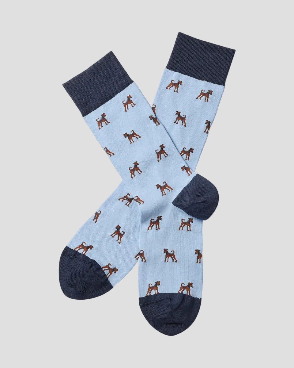 Charles Tyrwhitt Dog Novelty Socks - Sky Blue
