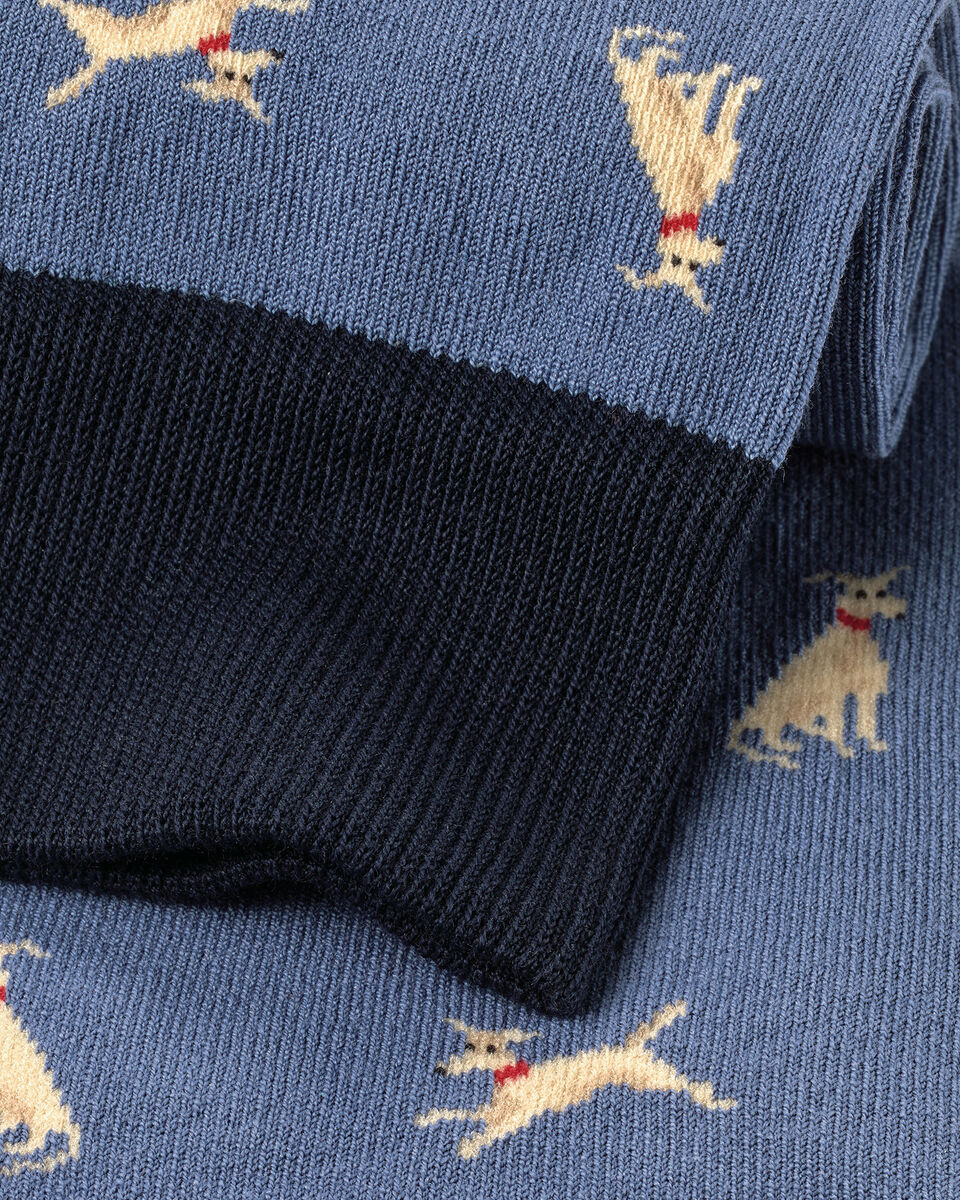 Charles Tyrwhitt Dog Novelty Socks - Steel Blue