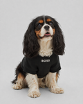BOSS Cotton-Blend Dog Sweater