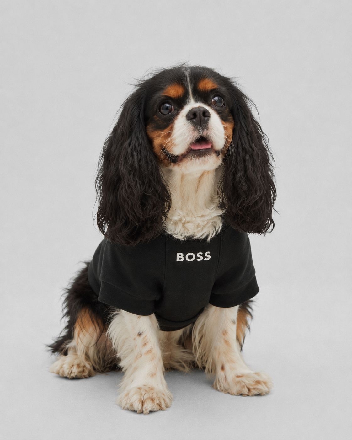 BOSS Cotton-Blend Dog Sweater