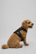 BOSS Adjustable Logo Dog Harness