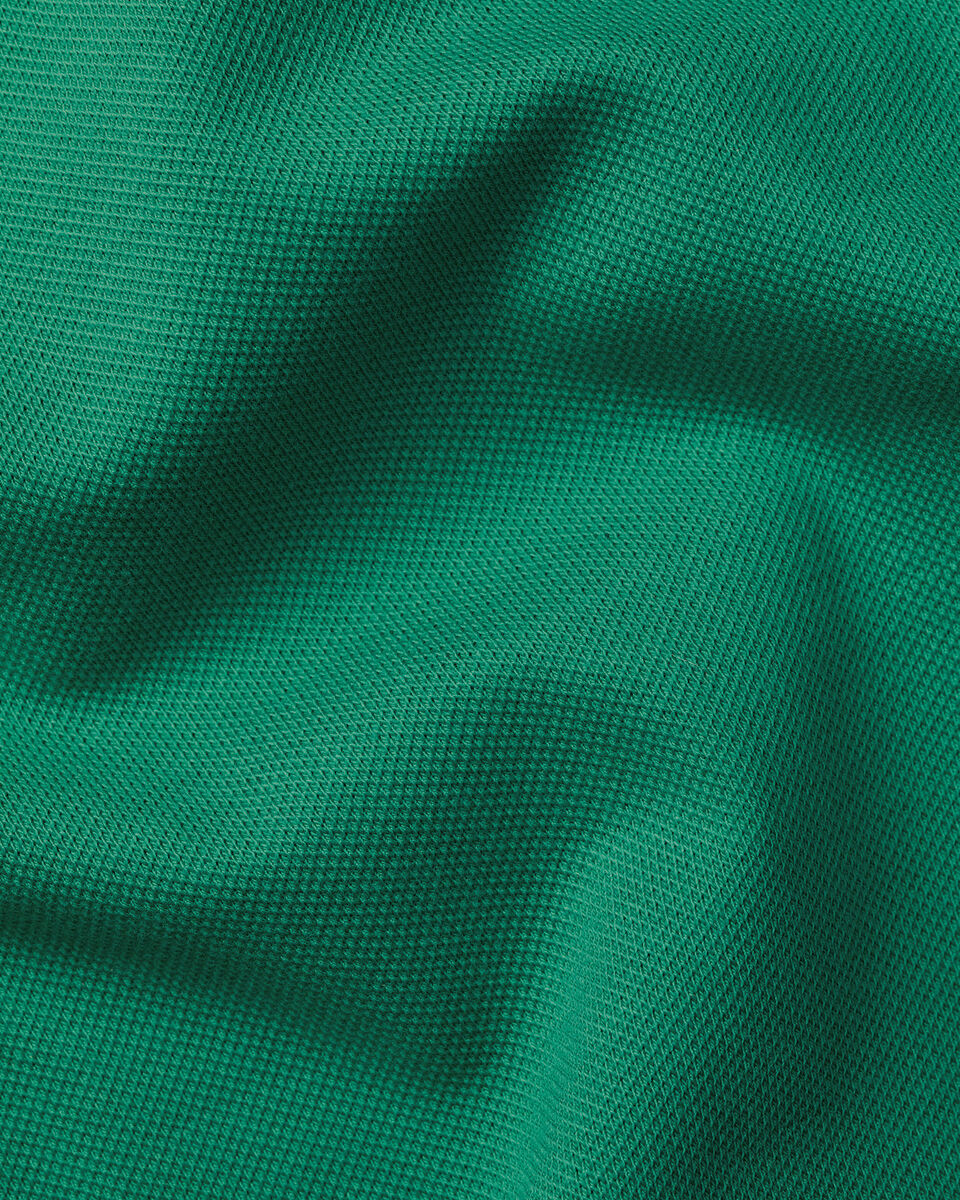 Charles Tyrwhitt The Lions Pique Polo - Green