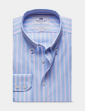 Hawes & Curtis Blue & Pink Bold Stripe Pin Point Non-Iron Oxford Shirt