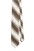 GANT Raw Silk Tie